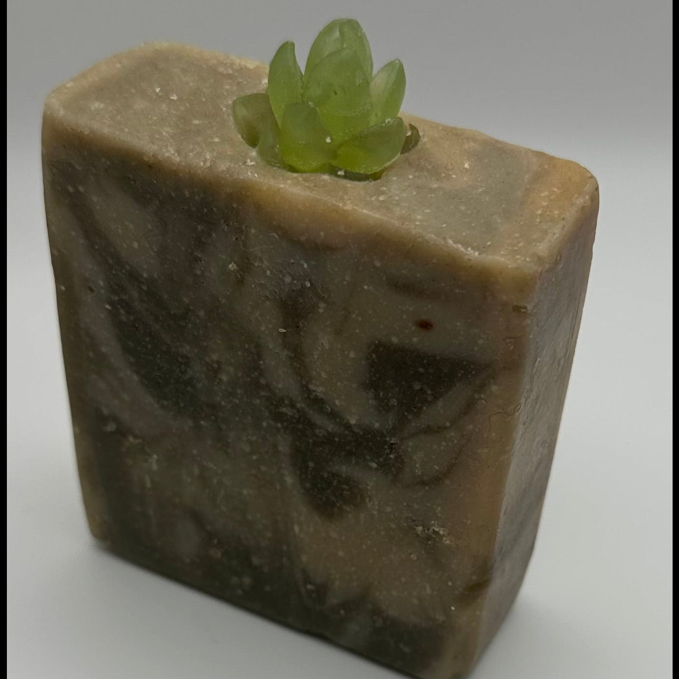 Cactus Soap