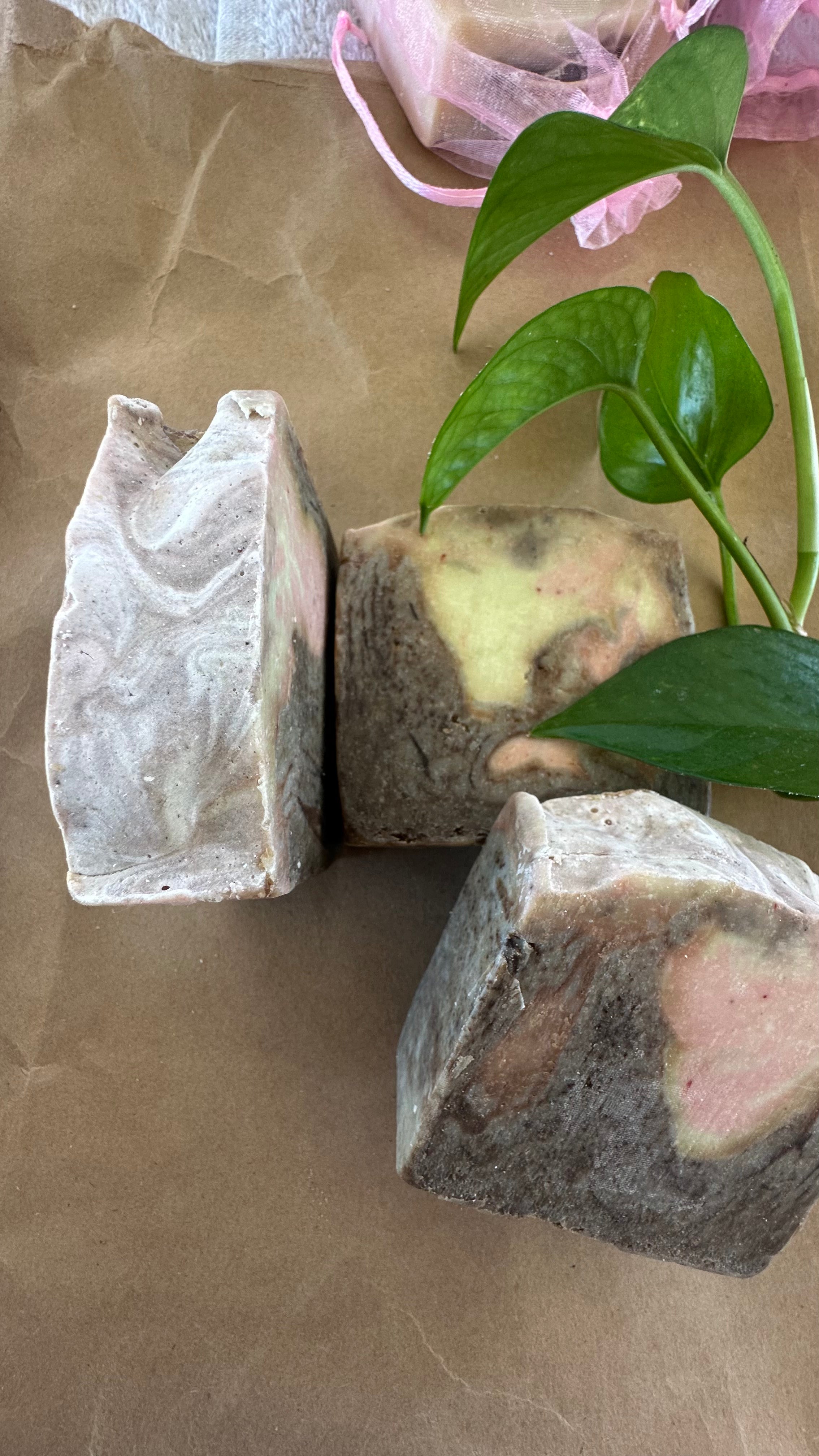 Coffee Ground exfoliate